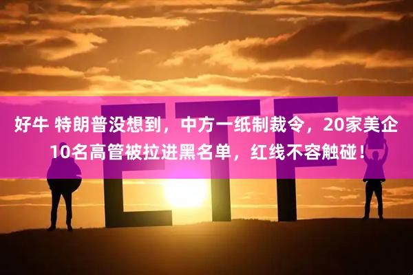 好牛 特朗普没想到，中方一纸制裁令，20家美企10名高管被拉进黑名单，红线不容触碰！