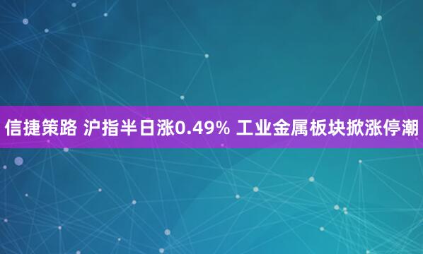 信捷策路 沪指半日涨0.49% 工业金属板块掀涨停潮